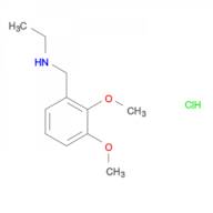 N-(2,3-dimethoxybenzyl)ethanamine hydrochloride