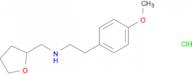 [2-(4-methoxyphenyl)ethyl](tetrahydro-2-furanylmethyl)amine hydrochloride