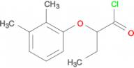 2-(2,3-dimethylphenoxy)butanoyl chloride
