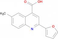 2-(2-furyl)-6-methylquinoline-4-carboxylic acid