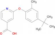 2-(4-tert-butyl-2-methylphenoxy)isonicotinic acid