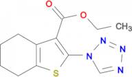 ethyl 2-(1H-tetrazol-1-yl)-4,5,6,7-tetrahydro-1-benzothiophene-3-carboxylate