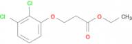 Ethyl 3-(2,3-dichloro-phenoxy)propanoate