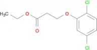 Ethyl 3-(2,5-dichloro-phenoxy)propanoate