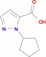 1-cyclopentyl-1H-pyrazole-5-carboxylic acid
