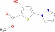 methyl 3-hydroxy-5-(1H-pyrazol-1-yl)thiophene-2-carboxylate