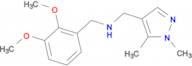 N-(2,3-dimethoxybenzyl)-N-[(1,5-dimethyl-1H-pyrazol-4-yl)methyl]amine