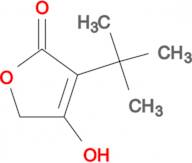 3-(tert-Butyl)-4-hydroxyfuran-2(5H)-one