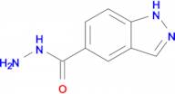1H-Indazole-5-carbohydrazide