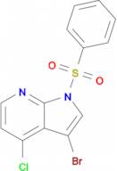 3-BROMO-4-CHLORO-1-(PHENYLSULFONYL)-1H-PYRROLO[2,3-B]PYRIDINE