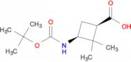 CIS-3-(BOC-AMINO)-2,2-DIMETHYLCYCLOBUTANECARBOXYLIC ACID