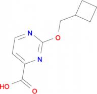 2-(Cyclobutylmethoxy)pyrimidine-4-carboxylic acid