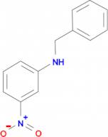 N-benzyl-3-nitroaniline 10-496322 | CymitQuimica