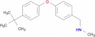 N-[4-(4-tert-butylphenoxy)benzyl]-N-methylamine 10-518360