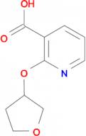 2-((tetrahydrofuran-3-yl)oxy)nicotinic acid