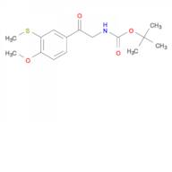 Tert Butyl 2 4 Methoxy 3 Methylthio Phenyl 2 Oxoethyl Carbamate 10