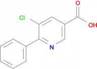 5-chloro-6-phenylpyridine-3-carboxylic acid
