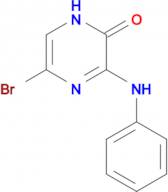 5-bromo-3-(phenylamino)-1,2-dihydropyrazin-2-one