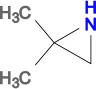 2,2-DIMETHYLAZIRIDINE