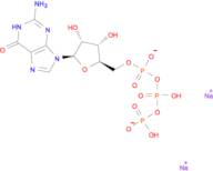 Guanosine-5-triphosphoric aicd disodium salt