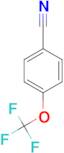 4-(Trifluoromethoxy)benzonitrile