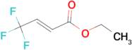 Ethyl 4,4,4-trifluorocrotonate