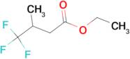 Ethyl 3-methyl-4,4,4-trifluorobutyrate