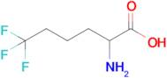 6,6,6-Trifluoronorleucine