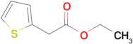 Ethyl 2-thiopheneacetate