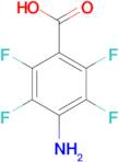 4-Amino-2,3,5,6-tetrafluorobenzoic acid