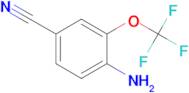 4-Amino-3-(trifluoromethoxy)benzonitrile