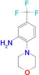 N-(2-Amino-4-trifluoromethylphenyl)morpholine