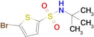 5-Bromothiophene-2-N-t-butylsulfonamide