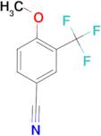 4-Methoxy-3-(trifluoromethyl)benzonitrile