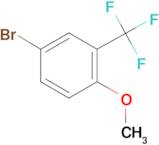 4-Methoxy-3-(trifluoromethyl)bromobenzene