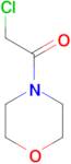 N-(Chloroacetyl)morpholine