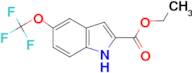 Ethyl 5-(trifluoromethoxy)indole-2-carboxylate