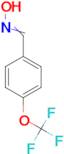 4-(Trifluoromethoxy)benzaldoxime