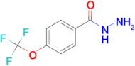 4-(Trifluoromethoxy)benzoic acid hydrazide
