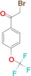 4-(Trifluoromethoxy)phenacyl bromide