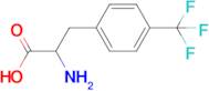 4-(Trifluoromethyl)-dl-phenylalanine