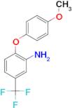 3-Amino-4-(4-methoxyphenoxy)benzotrifluoride