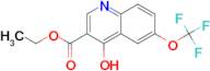 Ethyl 4-hydroxy-6-(trifluoromethoxy)quinoline-3-carboxylate