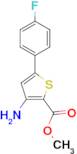 Methyl 3-amino-5-(4-fluorophenyl)thiophene-2-carboxylate