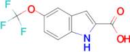 5-(Trifluoromethoxy)indole-2-carboxylic acid