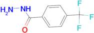 4-(Trifluoromethyl)benzoic acid hydrazide