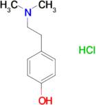 2-(4-Hydroxyphenyl)-N,N-dimethylethylamine hydrochloride