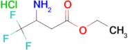 Ethyl-3-amino-4,4,4-trifluorobutyratehydrochloride