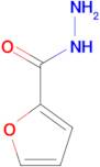 2-Furoic acid hydrazide
