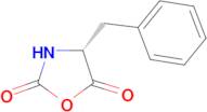 (R)-4-Benzyl-oxazolidine-2,5-dione